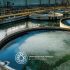 Microorganisms and Biotechnology: A Sustainable Alternative
