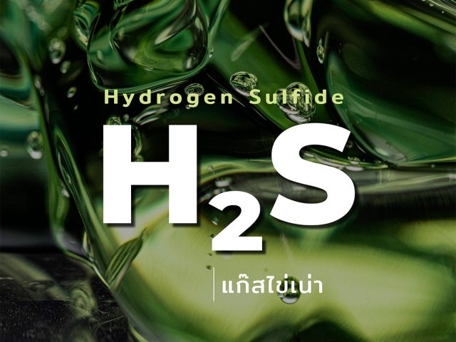 The Dangers of Hydrogen Sulfide (H₂S) and a Sustainable Solution