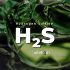 The Dangers of Hydrogen Sulfide (H₂S) and a Sustainable Solution