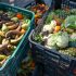 Reducing Waste Can Cut Costs – A Strategy to Extend the Shelf Life of Fruits and Vegetables