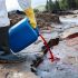 Impacts of Using Chemicals to Manage Oil Spills