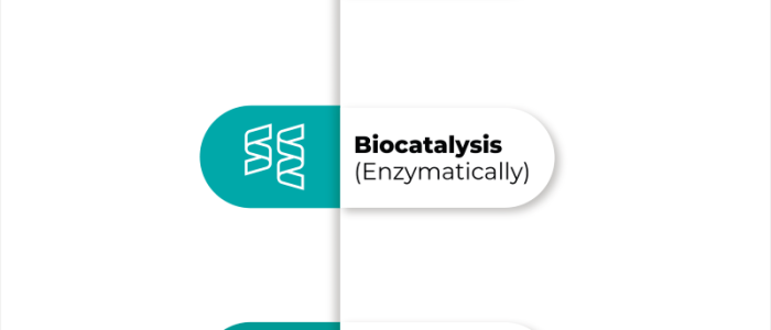 Bio Technology Part 2 (EN)